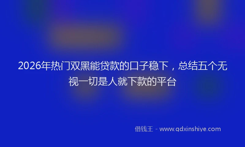 2026年热门双黑能贷款的口子稳下，总结五个无视一切是人就下款的平台