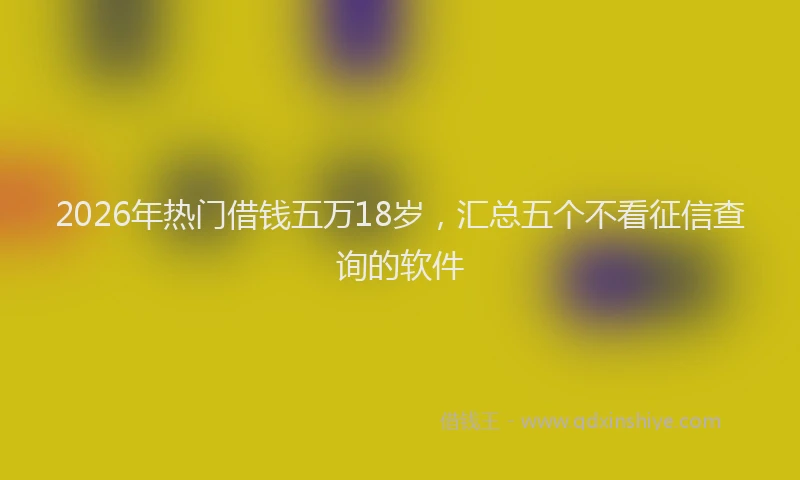 2026年热门借钱五万18岁，汇总五个不看征信查询的软件