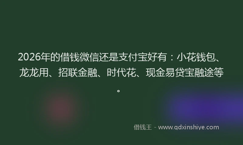 2026年的借钱微信还是支付宝好有：小花钱包、龙龙用、招联金融、时代花、现金易贷宝融途等。