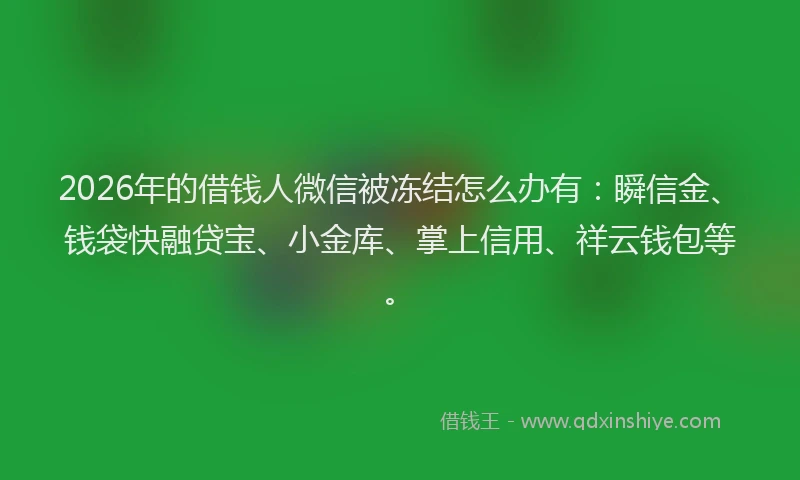 2026年的借钱人微信被冻结怎么办有：瞬信金、钱袋快融贷宝、小金库、掌上信用、祥云钱包等。