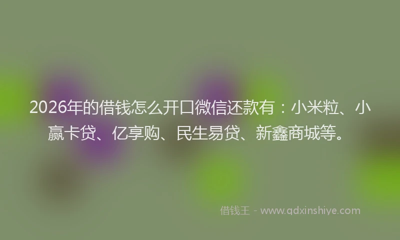 2026年的借钱怎么开口微信还款有：小米粒、小赢卡贷、亿享购、民生易贷、新鑫商城等。