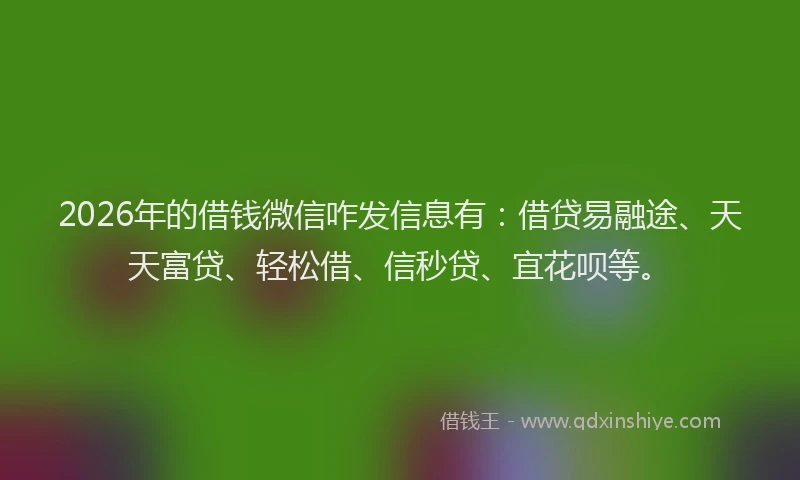 2026年的借钱微信咋发信息有：借贷易融途、天天富贷、轻松借、信秒贷、宜花呗等。