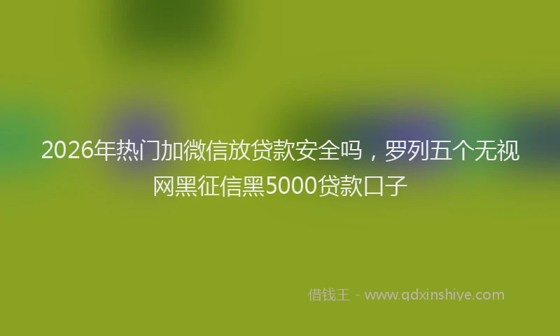 2026年热门加微信放贷款安全吗，罗列五个无视网黑征信黑5000贷款口子
