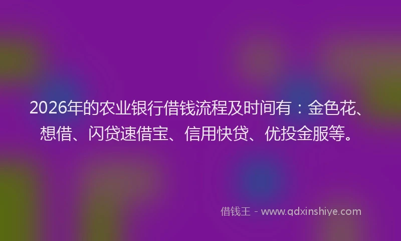 2026年的农业银行借钱流程及时间有：金色花、想借、闪贷速借宝、信用快贷、优投金服等。