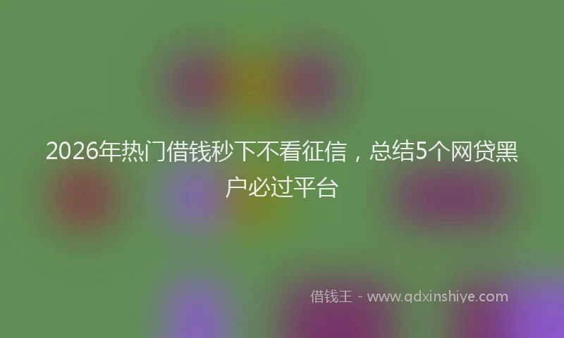 2026年热门借钱秒下不看征信，总结5个网贷黑户必过平台