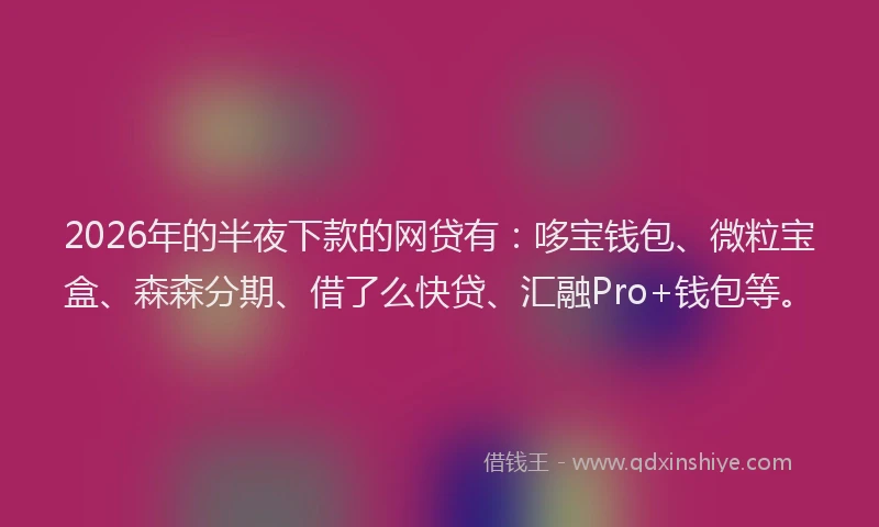 2026年的半夜下款的网贷有：哆宝钱包、微粒宝盒、森森分期、借了么快贷、汇融Pro+钱包等。