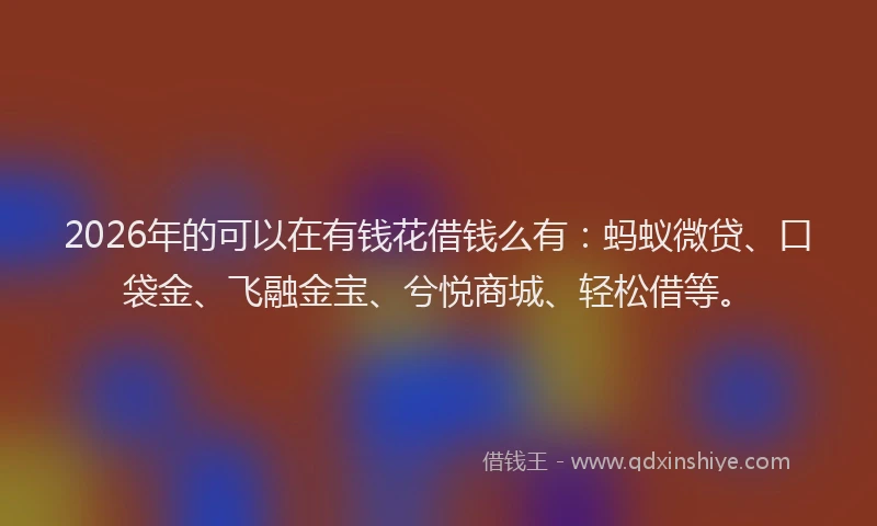 2026年的可以在有钱花借钱么有：蚂蚁微贷、口袋金、飞融金宝、兮悦商城、轻松借等。