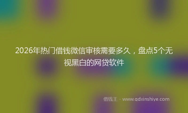 2026年热门借钱微信审核需要多久，盘点5个无视黑白的网贷软件