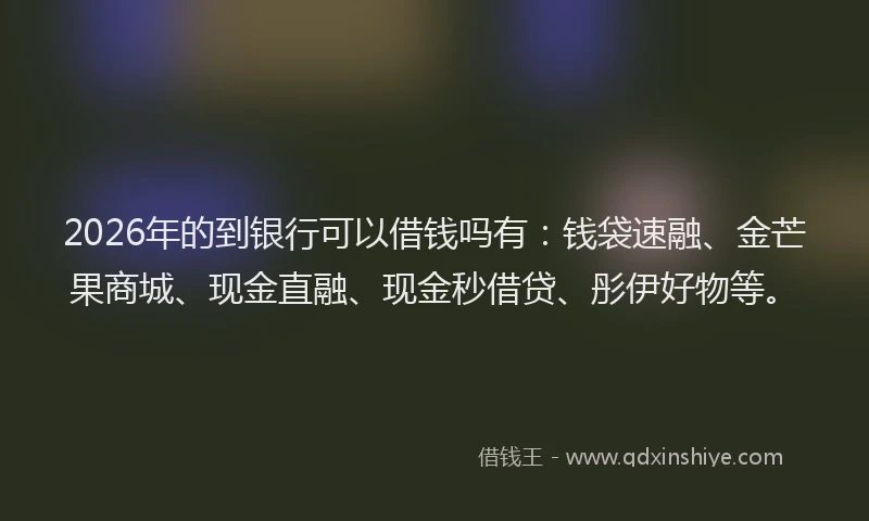 2026年的到银行可以借钱吗有：钱袋速融、金芒果商城、现金直融、现金秒借贷、彤伊好物等。