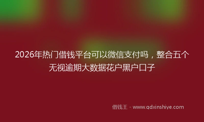 2026年热门借钱平台可以微信支付吗，整合五个无视逾期大数据花户黑户口子