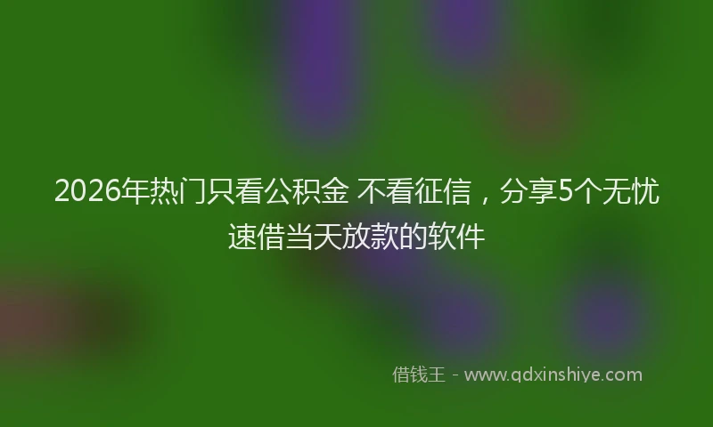 2026年热门只看公积金 不看征信，分享5个无忧速借当天放款的软件