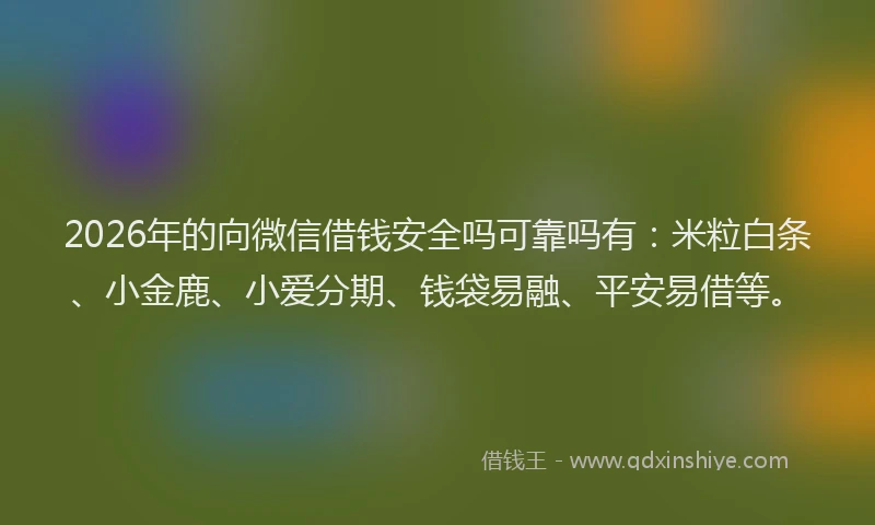 2026年的向微信借钱安全吗可靠吗有：米粒白条、小金鹿、小爱分期、钱袋易融、平安易借等。