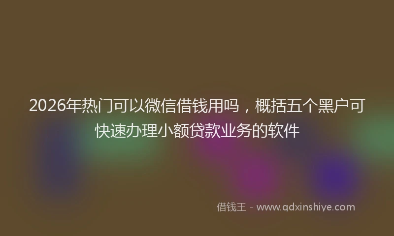 2026年热门可以微信借钱用吗，概括五个黑户可快速办理小额贷款业务的软件