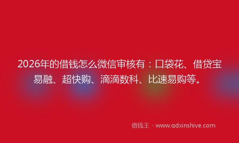 2026年的借钱怎么微信审核有：口袋花、借贷宝易融、超快购、滴滴数科、比速易购等。