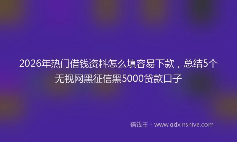 2026年热门借钱资料怎么填容易下款，总结5个无视网黑征信黑5000贷款口子