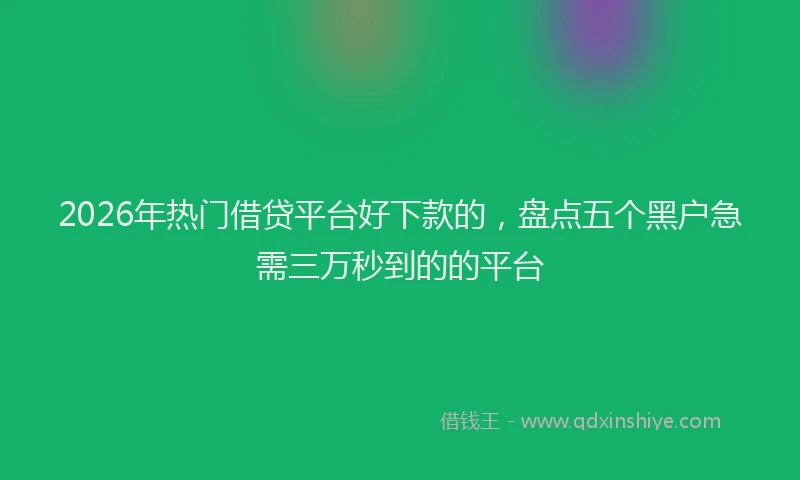 2026年热门借贷平台好下款的，盘点五个黑户急需三万秒到的的平台