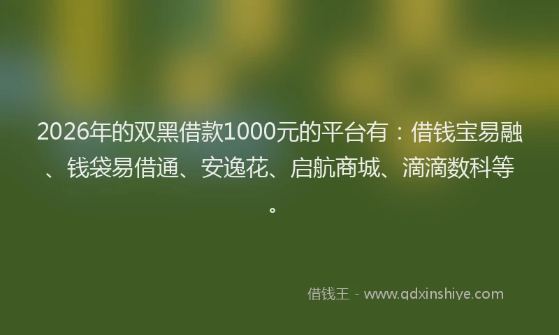 2026年的双黑借款1000元的平台有：借钱宝易融、钱袋易借通、安逸花、启航商城、滴滴数科等。