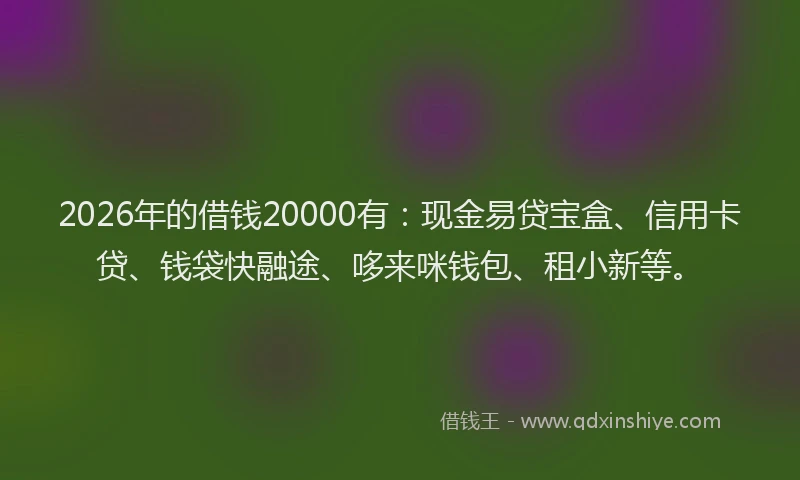 2026年的借钱20000有：现金易贷宝盒、信用卡贷、钱袋快融途、哆来咪钱包、租小新等。