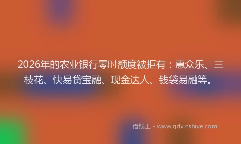 2026年的农业银行零时额度被拒有：惠众乐、三枝花、快易贷宝融、现金达人、钱袋易融等。
