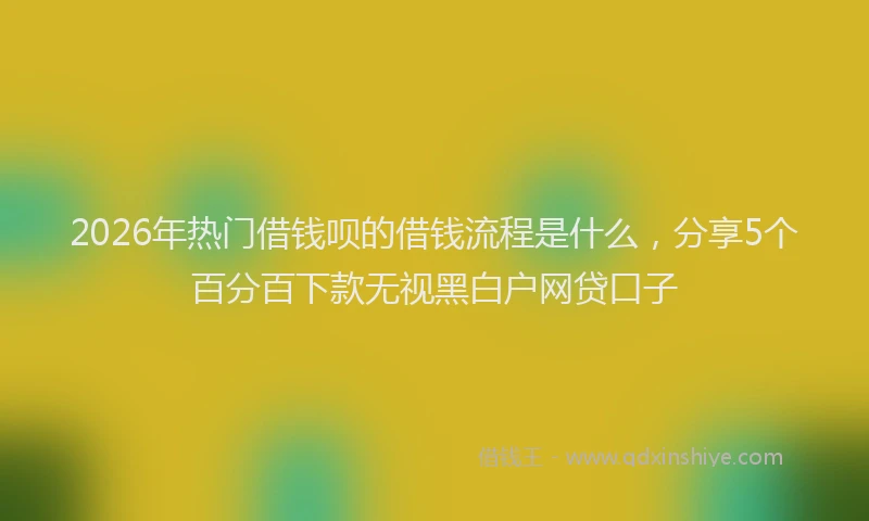 2026年热门借钱呗的借钱流程是什么，分享5个百分百下款无视黑白户网贷口子