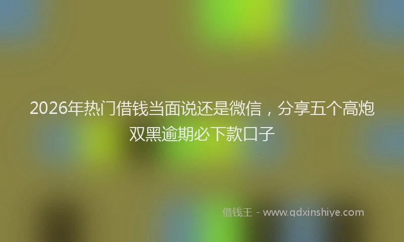 2026年热门借钱当面说还是微信，分享五个高炮双黑逾期必下款口子