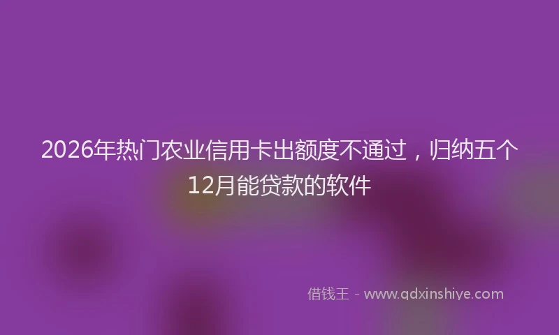 2026年热门农业信用卡出额度不通过，归纳五个12月能贷款的软件