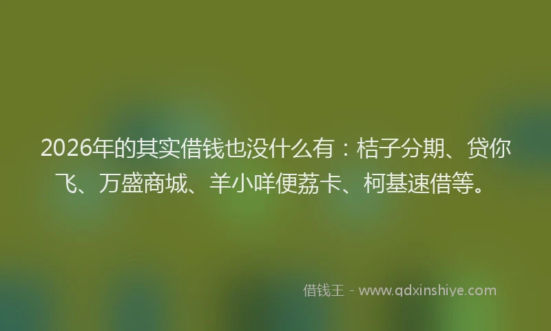 2026年的其实借钱也没什么有：桔子分期、贷你飞、万盛商城、羊小咩便荔卡、柯基速借等。