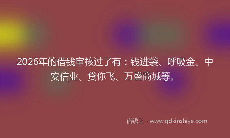 2026年的借钱审核过了有：钱进袋、呼吸金、中安信业、贷你飞、万盛商城等。