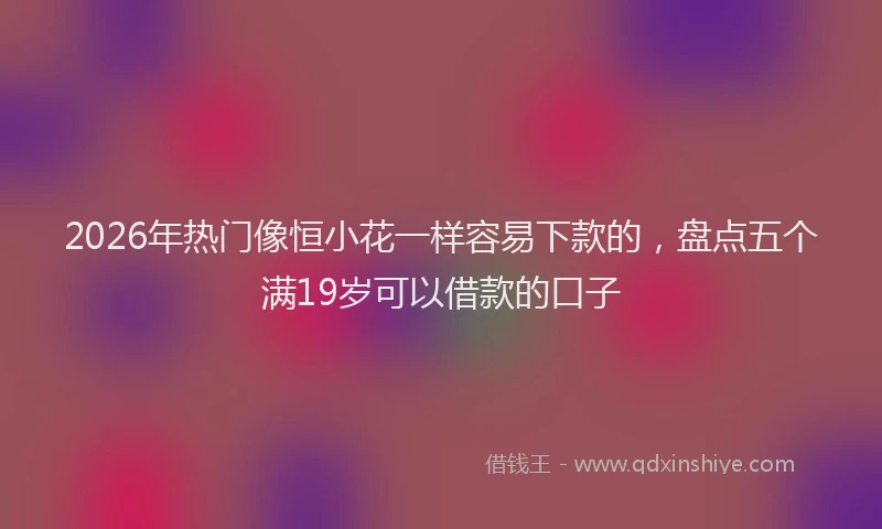 2026年热门像恒小花一样容易下款的，盘点五个满19岁可以借款的口子