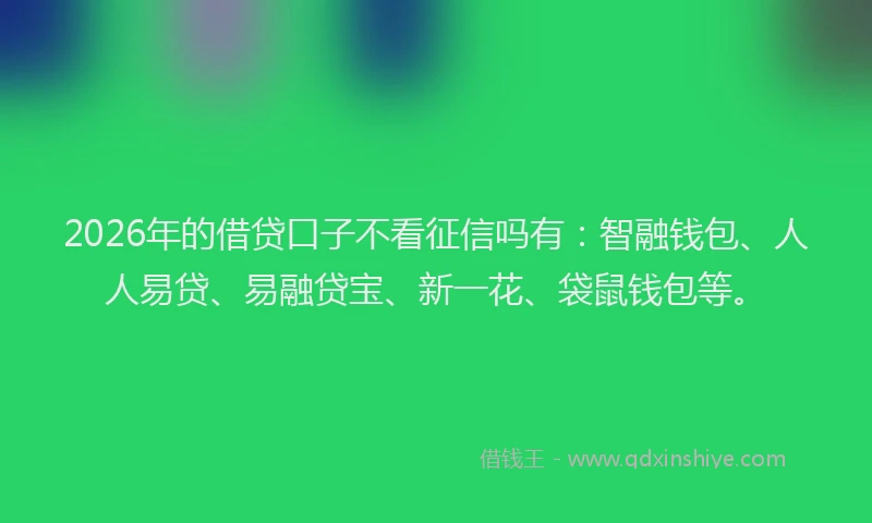 2026年的借贷口子不看征信吗有：智融钱包、人人易贷、易融贷宝、新一花、袋鼠钱包等。
