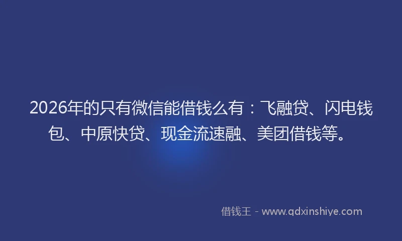 2026年的只有微信能借钱么有：飞融贷、闪电钱包、中原快贷、现金流速融、美团借钱等。