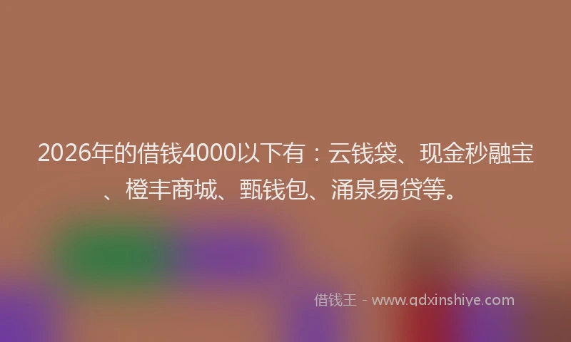 2026年的借钱4000以下有：云钱袋、现金秒融宝、橙丰商城、甄钱包、涌泉易贷等。