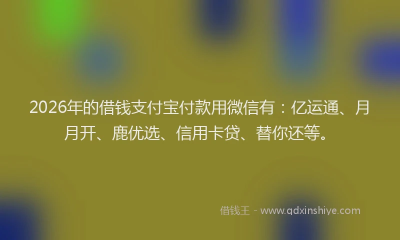 2026年的借钱支付宝付款用微信有：亿运通、月月开、鹿优选、信用卡贷、替你还等。