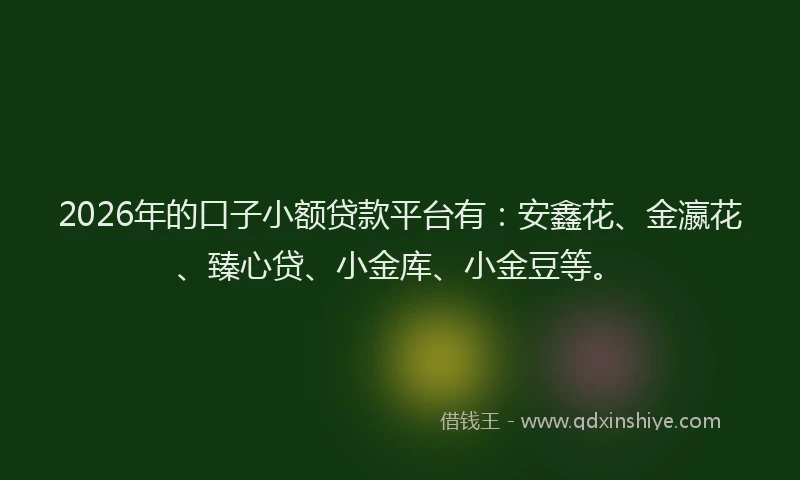 2026年的口子小额贷款平台有：安鑫花、金瀛花、臻心贷、小金库、小金豆等。