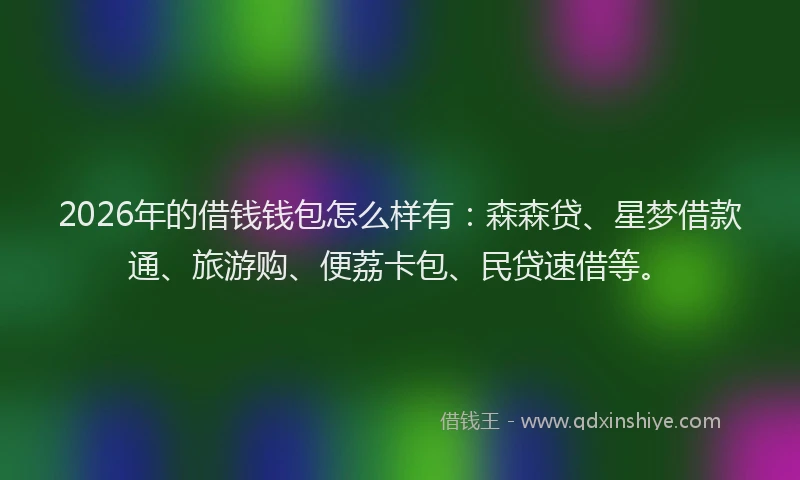 2026年的借钱钱包怎么样有：森森贷、星梦借款通、旅游购、便荔卡包、民贷速借等。