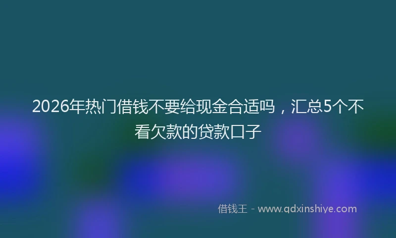 2026年热门借钱不要给现金合适吗，汇总5个不看欠款的贷款口子