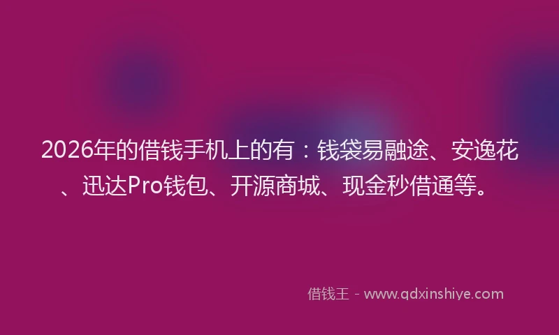 2026年的借钱手机上的有：钱袋易融途、安逸花、迅达Pro钱包、开源商城、现金秒借通等。