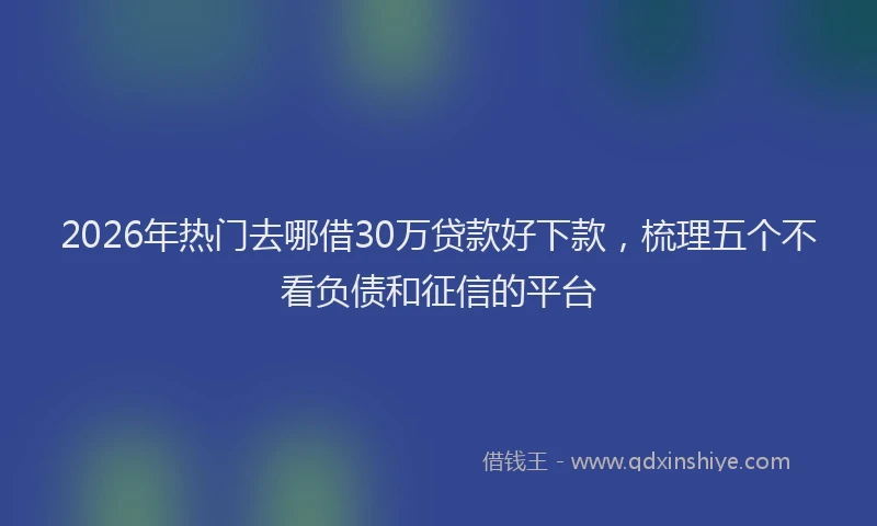 2026年热门去哪借30万贷款好下款，梳理五个不看负债和征信的平台