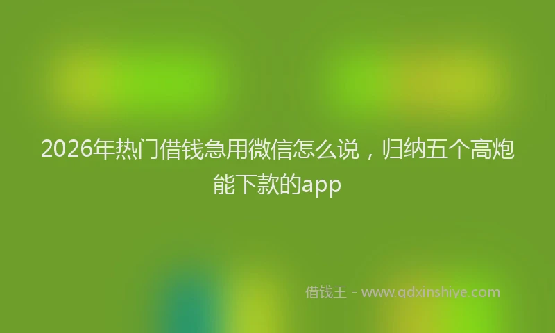2026年热门借钱急用微信怎么说，归纳五个高炮能下款的app