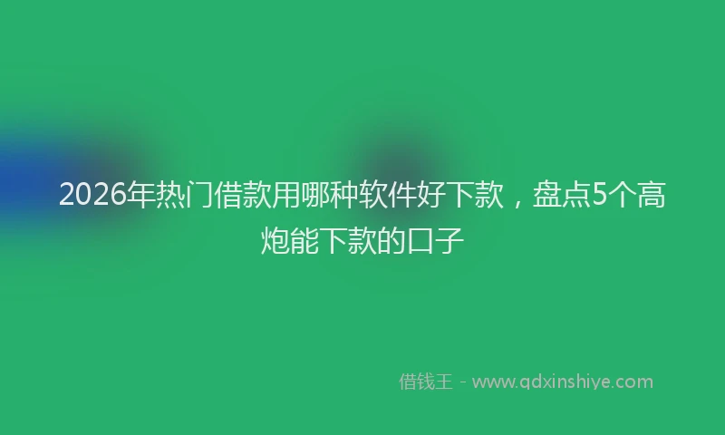 2026年热门借款用哪种软件好下款，盘点5个高炮能下款的口子