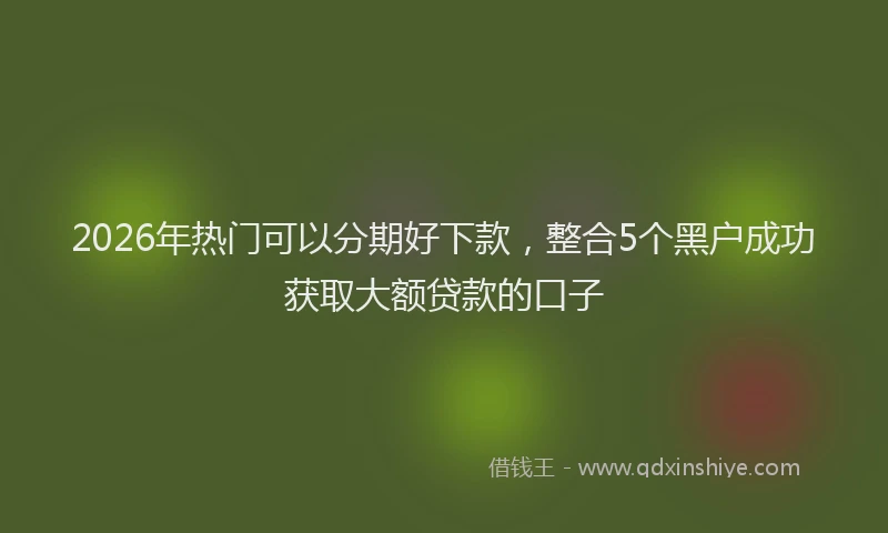 2026年热门可以分期好下款，整合5个黑户成功获取大额贷款的口子