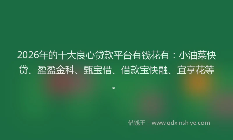 2026年的十大良心贷款平台有钱花有：小油菜快贷、盈盈金科、甄宝借、借款宝快融、宜享花等。