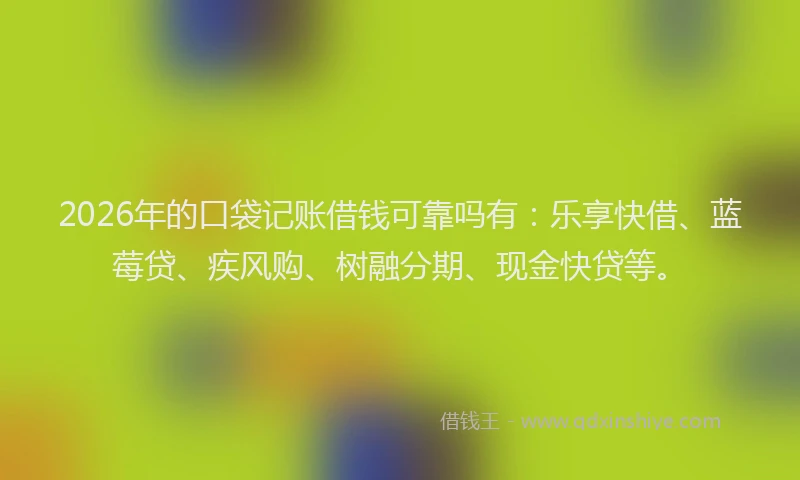2026年的口袋记账借钱可靠吗有：乐享快借、蓝莓贷、疾风购、树融分期、现金快贷等。
