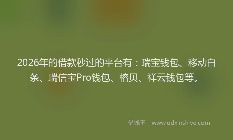 2026年的借款秒过的平台有：瑞宝钱包、移动白条、瑞信宝Pro钱包、榕贝、祥云钱包等。