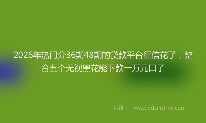 2026年热门分36期48期的贷款平台征信花了，整合五个无视黑花能下款一万元口子