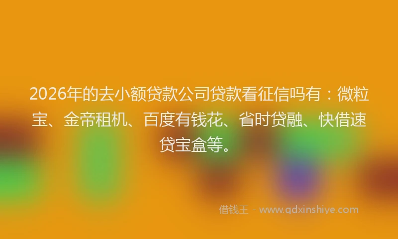 2026年的去小额贷款公司贷款看征信吗有：微粒宝、金帝租机、百度有钱花、省时贷融、快借速贷宝盒等。