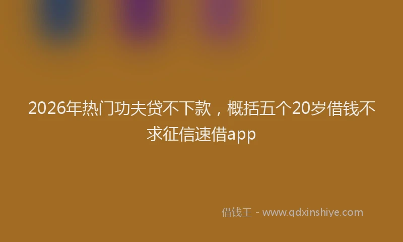 2026年热门功夫贷不下款，概括五个20岁借钱不求征信速借app