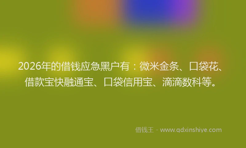 2026年的借钱应急黑户有：微米金条、口袋花、借款宝快融通宝、口袋信用宝、滴滴数科等。