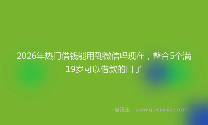 2026年热门借钱能用到微信吗现在，整合5个满19岁可以借款的口子