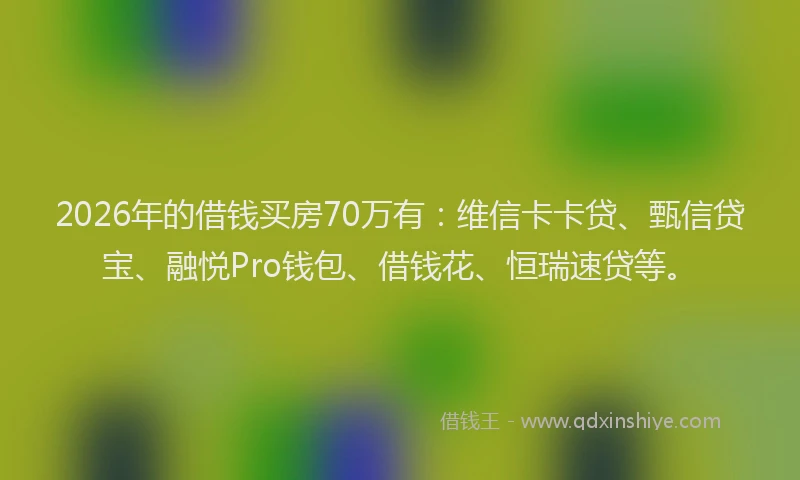 2026年的借钱买房70万有：维信卡卡贷、甄信贷宝、融悦Pro钱包、借钱花、恒瑞速贷等。